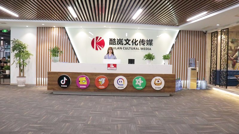 文化传媒公司收购评估报告：关键要素与评估策略**